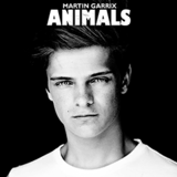 Martin Garrix - Animals