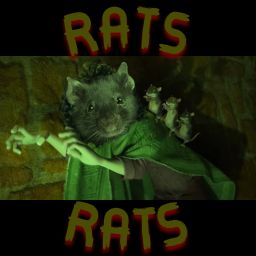 We Don't Talk About Rats