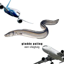 gladde paling - een vliegtuig
