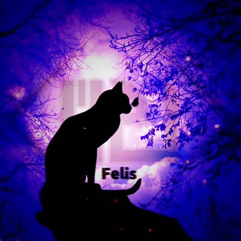 Felis