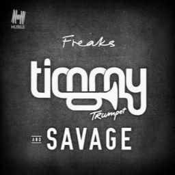 Timmy Trumpet - Freaks [Fitbeat]