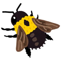 Flight of the Bumblebee(Practice Stream Notes)