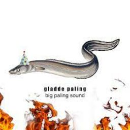 gladde paling - big paling sound