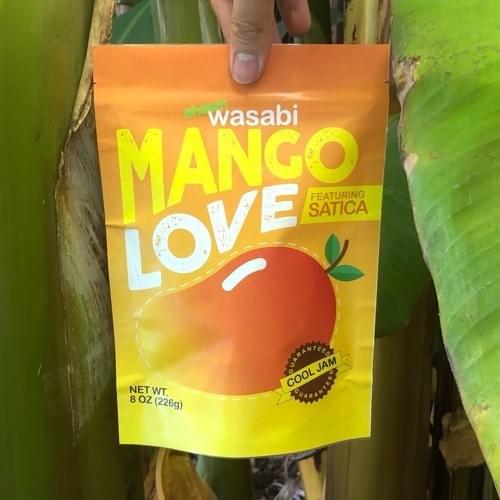 Shawn Wasabi  - MANGO LOVE (feat. Satica)