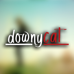 DownyCat - Holiday