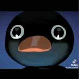 Pingu - Noot Noot