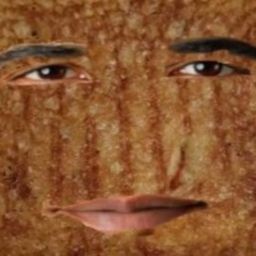 Grilled Cheese Obama Sandwich