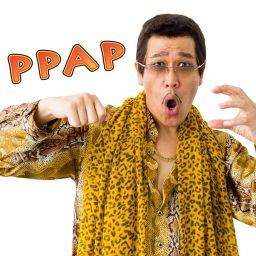 PIKOTARO -  PPAP (Pen Pineapple Apple Pen)