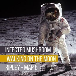 Walking On The Moon