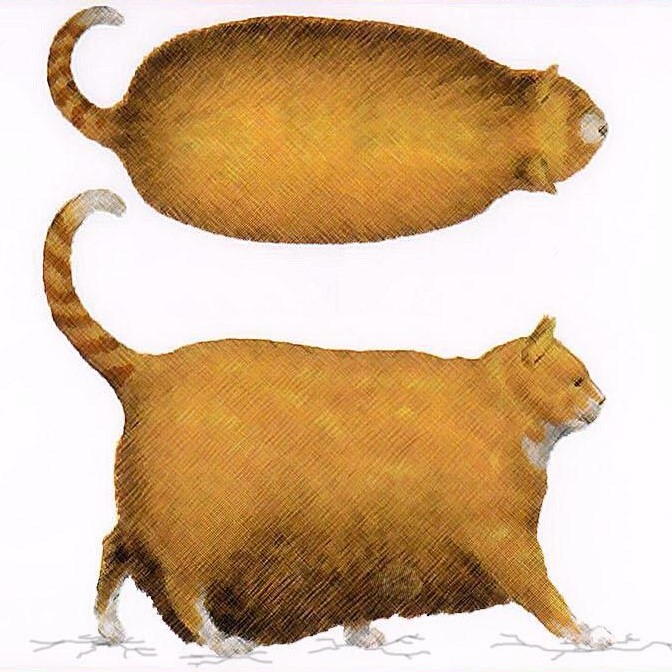 chonk