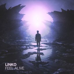 Linko - Feel Alive