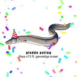 Gladde paling - fissa x 13