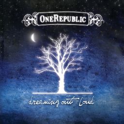 OneRepublic - Say (All I Need)