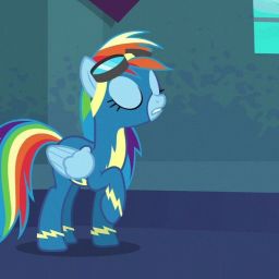 Dashie - What the dog doin?