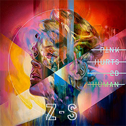 P!nk (feat. Cash Cash) - Can We Pretend [Z-ANESaber]