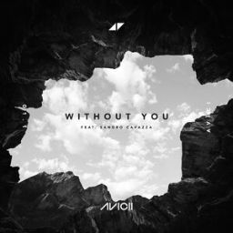 Avicii - Without You