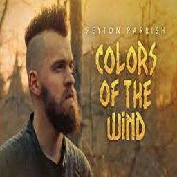 Peyton Parrish - Colors of the Wind (Disney Goes ROCK) 
