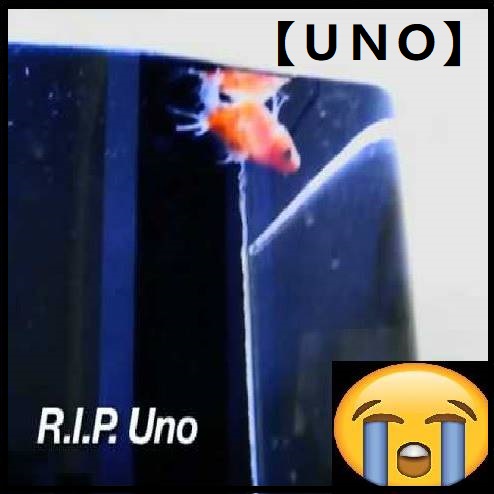 UNO