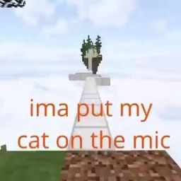 Ima put my cat on the mic